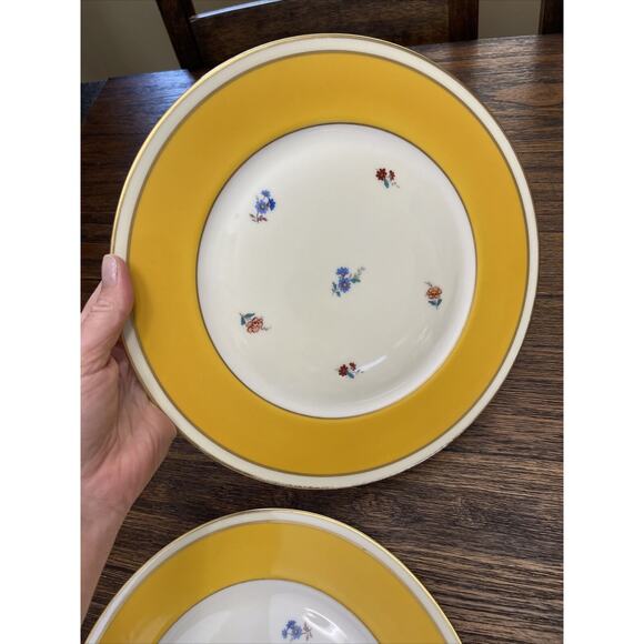 Furstenberg Porcelain Antique Dinner Plates Yellow Gold Flowers Germany - Picture 2 of 8